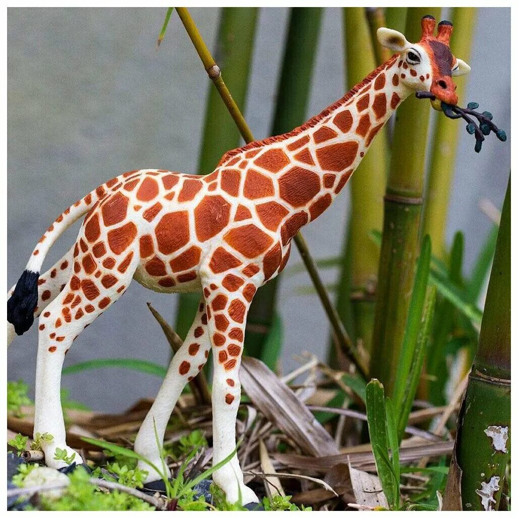 Какой тип развития характерен для сетчатого жирафа. Фигурка Safari Ltd Wildlife сетчатый Жираф 268429. Фигурка Safari Ltd Wildlife Жираф 100421. Сетчатый Жираф. Фигурка сафари.