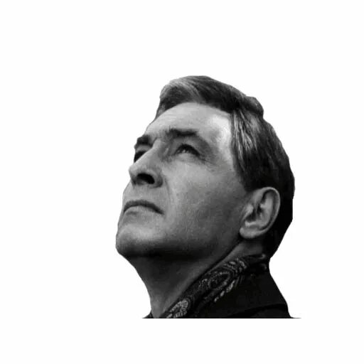 Штирлиц телеграм. Штирлиц. наклейка штирлиц. штирлиц стикеры телеграмм. стикеры телега штирлиц.