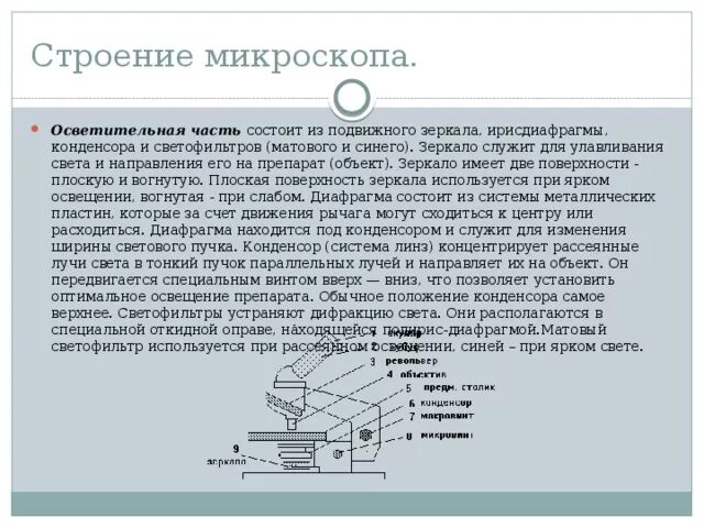 Какую функцию выполняет зеркальце в микроскопе. Осветительная часть микроскопа. Осветительная система микроскопа состоит из. Устройство светового микроскопа. Устройство современного микроскопа.