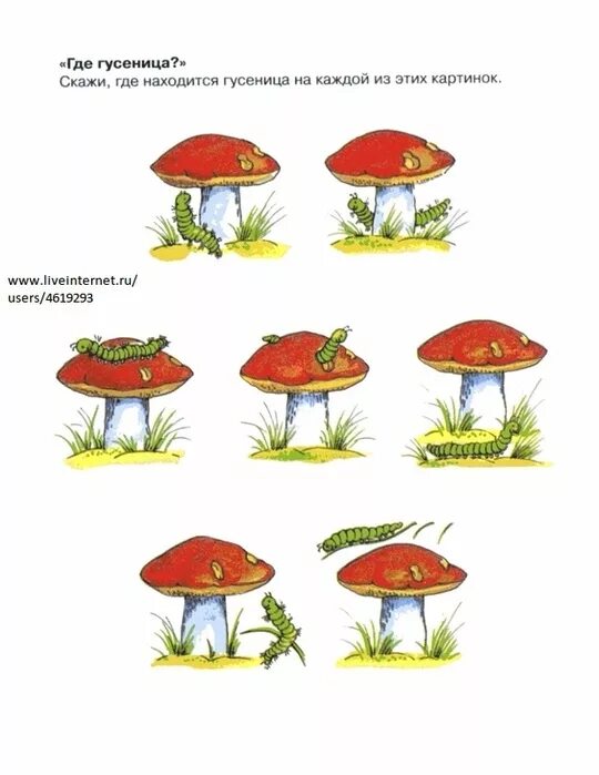 Игры на развитие грамматического строя