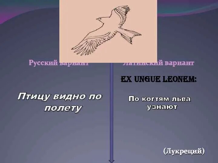 Пословица воля птичке дороже. Птицу видно по полету. Птицу по полету человека по делам. Пословица видна птица по полету. Птицу видно по полету а человека.