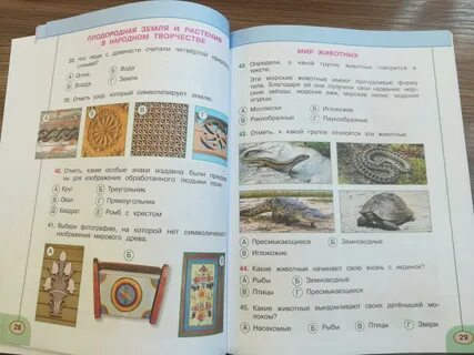 Плешаков перспектива 4 тесты