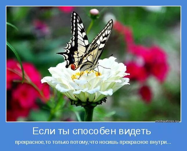 Умение видеть прекрасное. Человек способен видеть прекрасное. Уметь видеть прекрасное в обычном. Если ты способен видеть прекрасное то только. Жизнь прекрасна еще и потому что человек