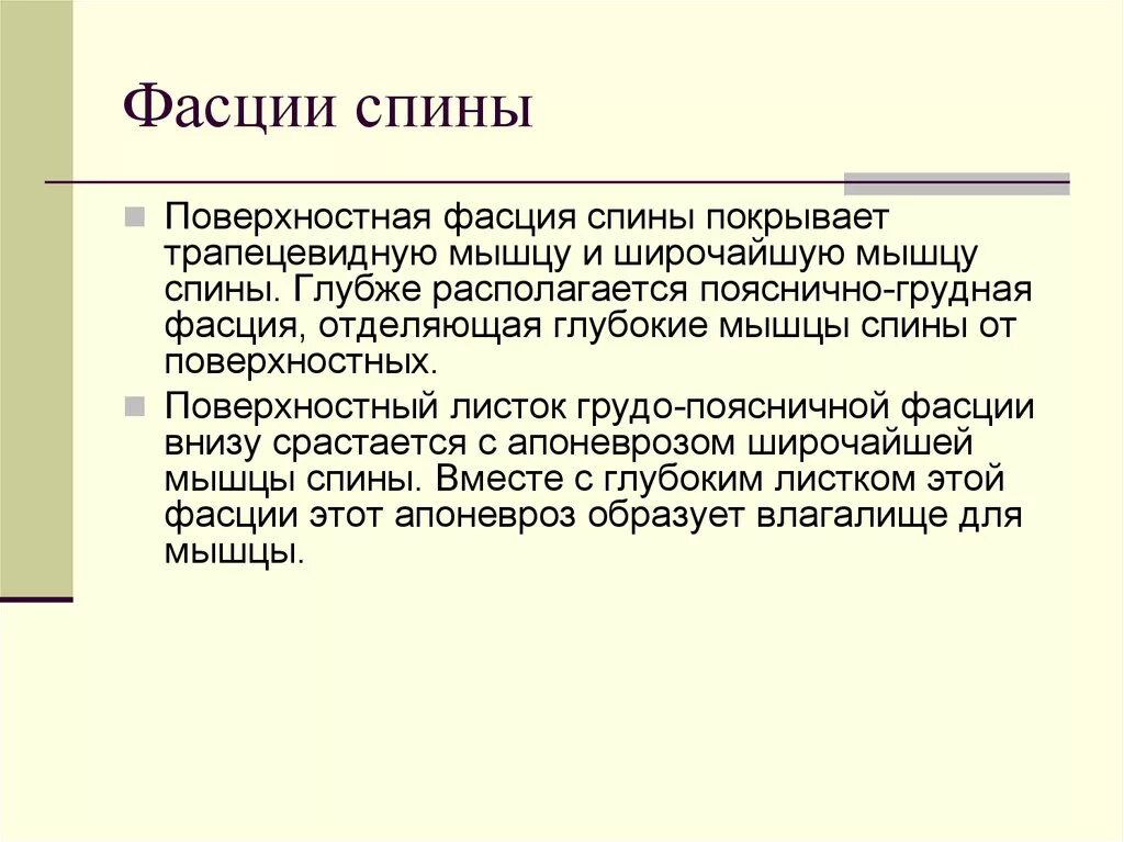 Фасции спины. Поверхностный листок пояснично грудной фасции. Поверхностная фасция спины. Поверхностный листок грудо поясничной фасции.