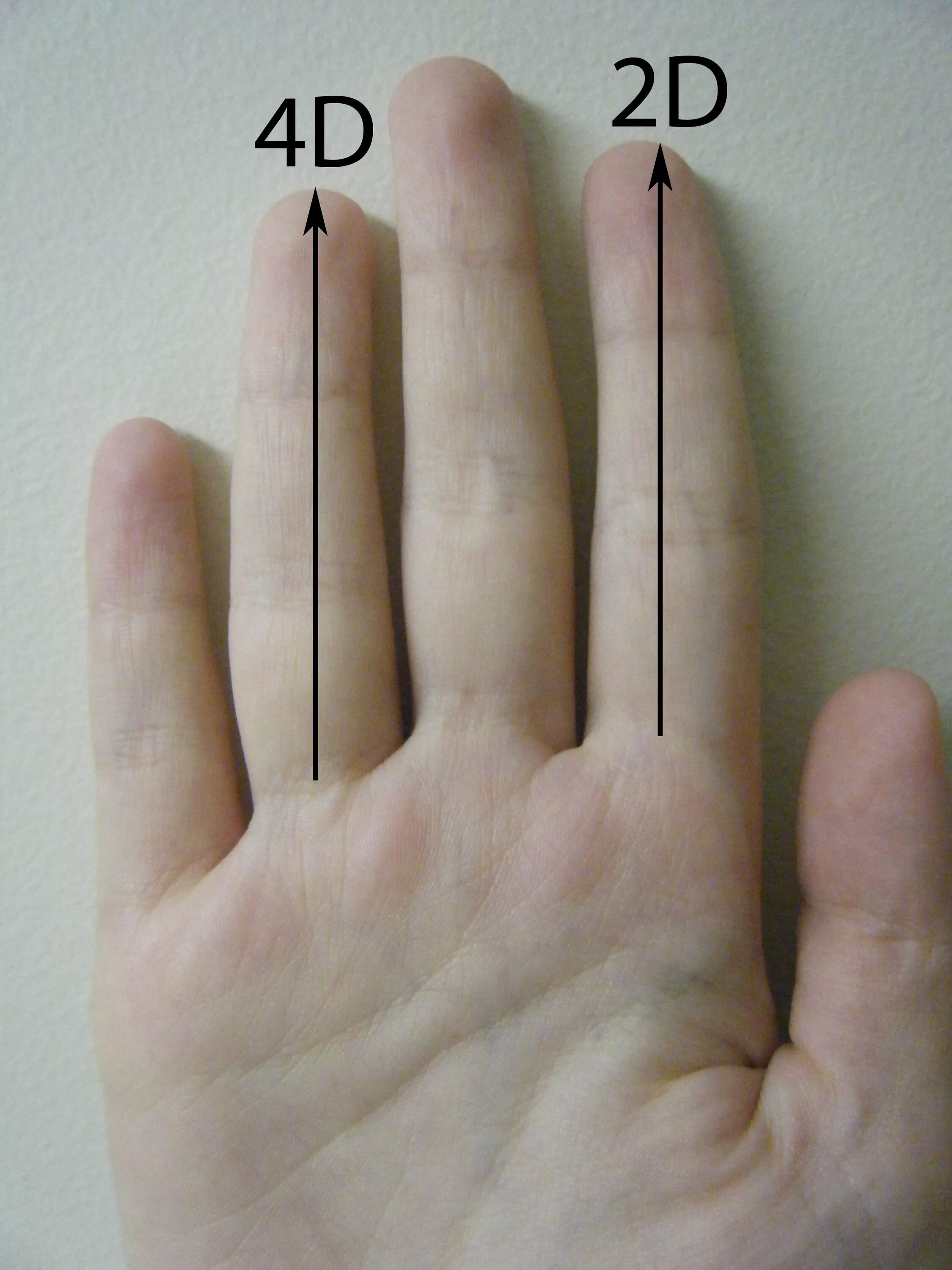 Сколько сантиметров рука. Безымянный палец. Безымянный палец на руке. Длинный безымянный палец. Безымянный палец длиннее указательного.