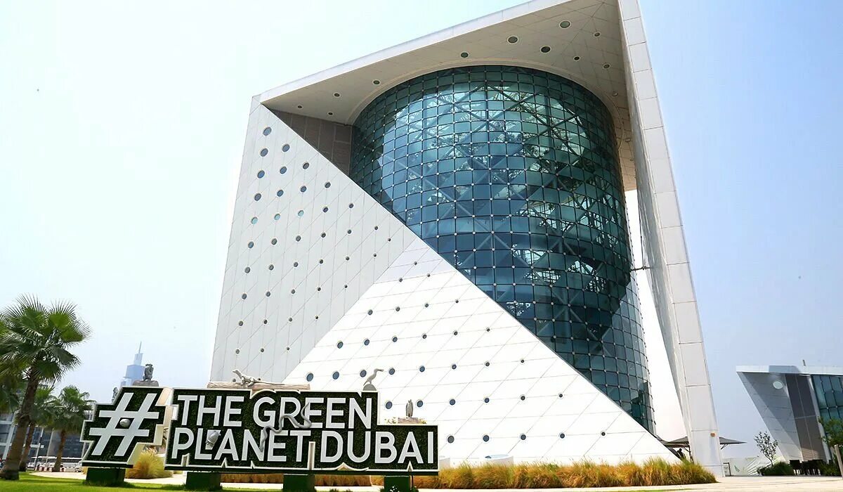 Green planet дубай. Зоологический музей the green planet дубай. оранжерея green planet дубай. ботанический сад зеленая планета дубай. зоопарк грин планет дубай.