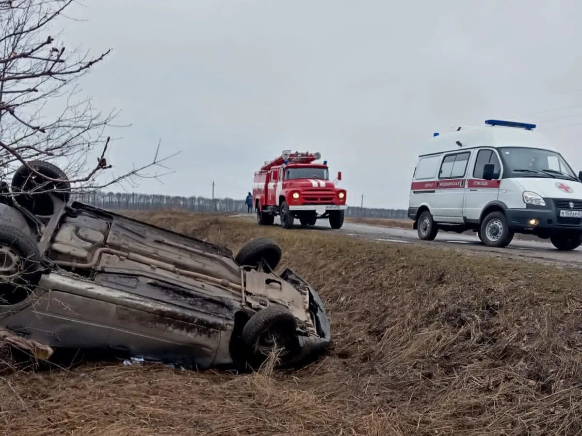 Дорожно-транспортное происшествие. Новости в орле и орловской области происшествия