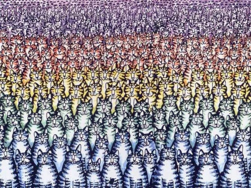 Головоломки найди на картинке. Вариантов среди множества. Головоломки найди на картинке. Головоломка найди. Вариантов среди множества.