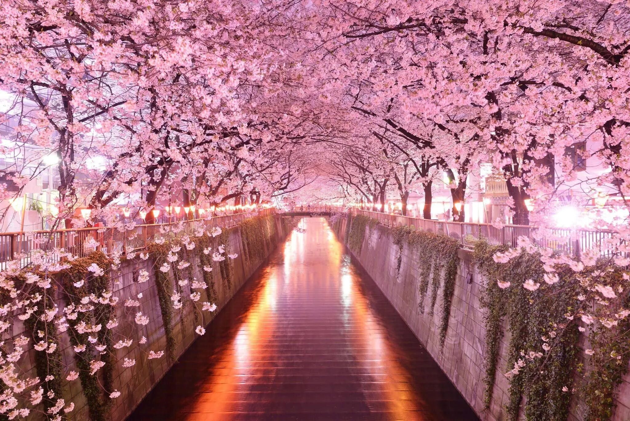 The most beautiful time
