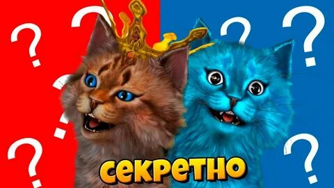 Котенок лайк алис