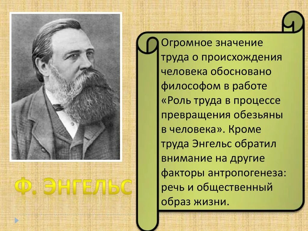 Энгельс роль труда. Роль труда в процессе превращения обезьяны в человека. Ф Энгельс роль труда в процессе превращения обезьяны в человека. Процесс превращения обезьяны в человека. Труд Энгельса о происхождении человека.