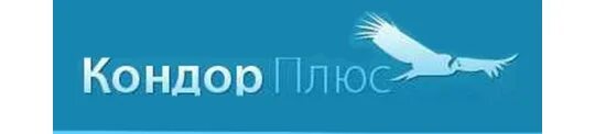 Ооо плюс 1. Кондор плюс. ООО Кондор Санкт-Петербург. Кондор плюс металлорукава. Кондор логотип.