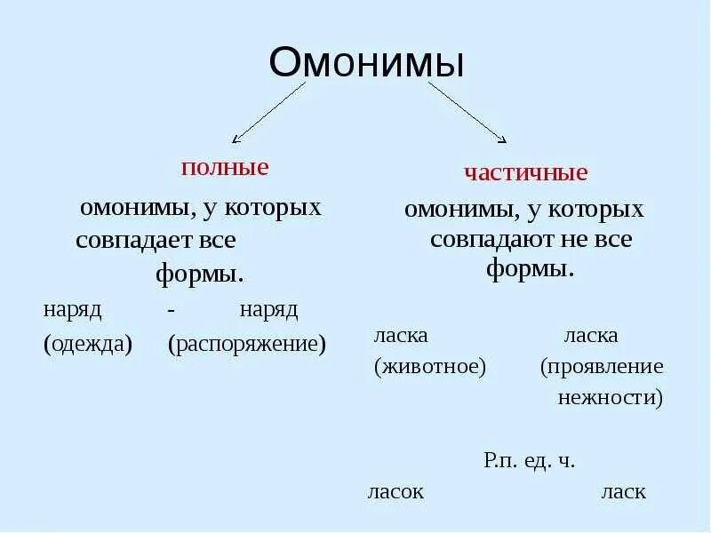 Определение термина омонимы. Примеры омонимов в русском языке. омонимия примеры. омонимия это в русском языке определение и примеры. омонимы.
