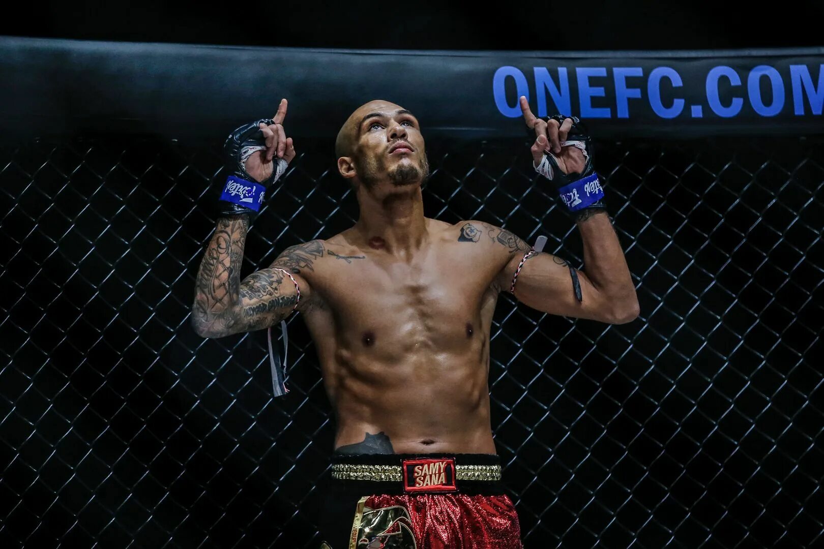 Сэм шин onlyfans. Жена чарли шина дениз. Сэми гейл в купальнике. Чарли шин и дениз ричардс. Ricochet wwe.