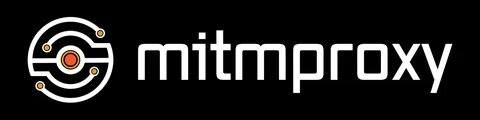 Mitmproxy
