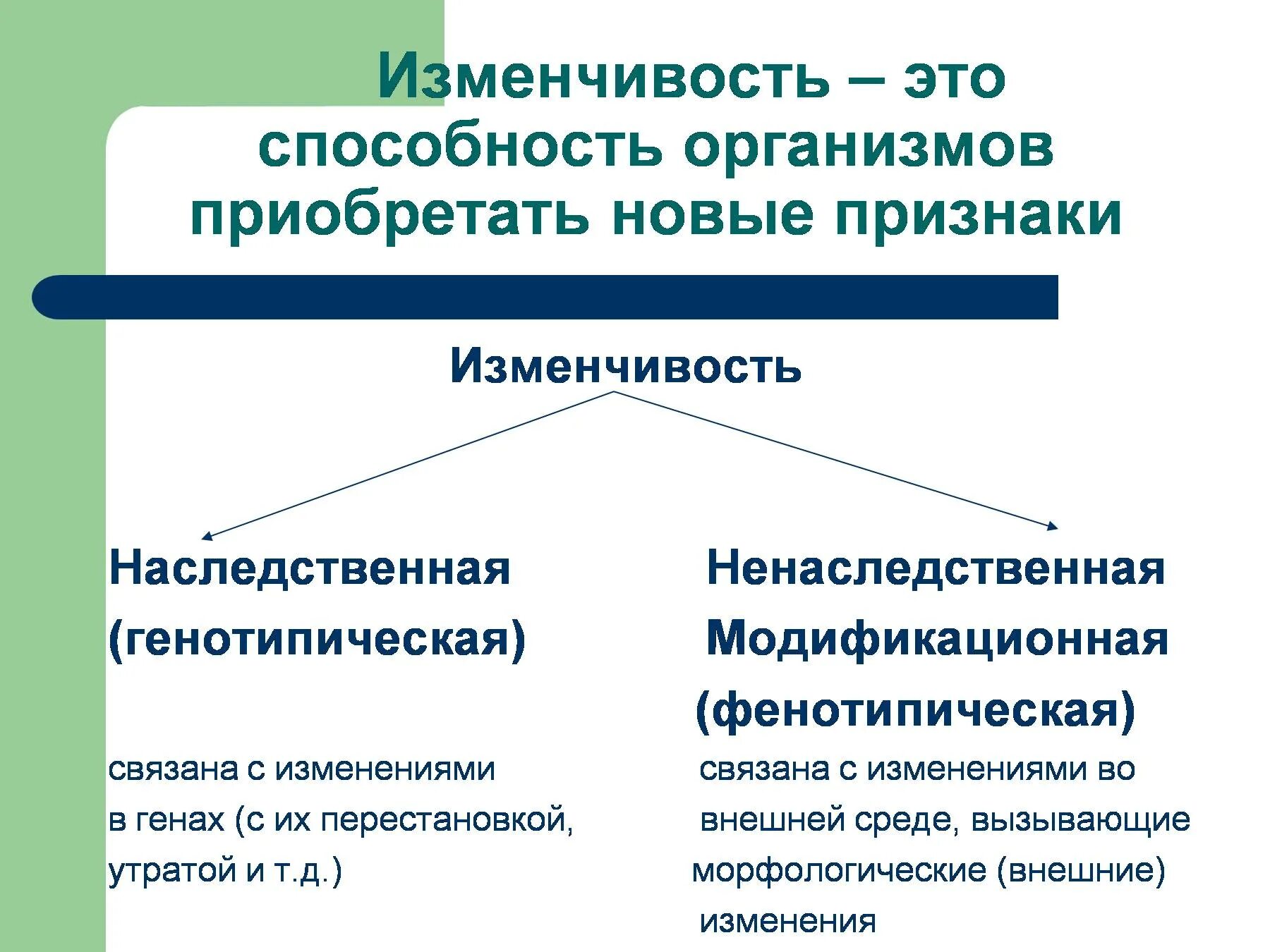 Днк наследственные признаки. Изменчивость. Наследственная и ненаследственная изменчивость. Изменчивость признаков у организмов. Понятие изменчивости.