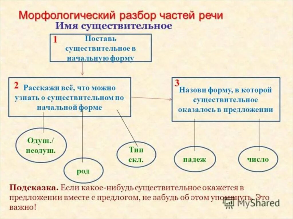 Схема разбора как часть речи. Схема разбора существительного морфологический разбор. Схема морфологического разбора существительного. Морфологический разбор частей речи. Разбор множественного существительного