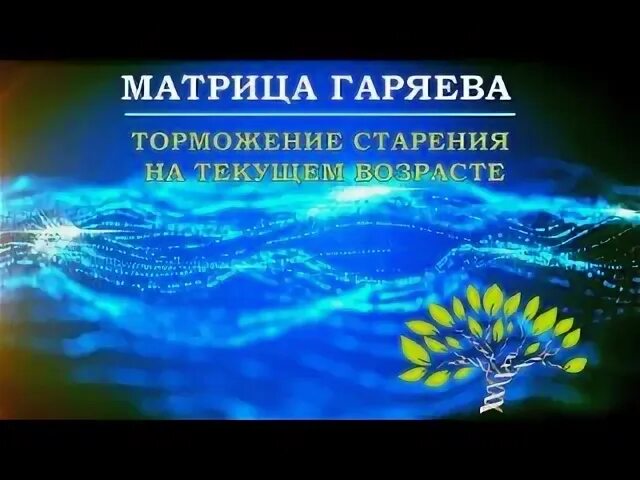 гаряева. торможение старения матрица гаряева. настоящая матрица гаряева. самое мощное омоложение организма матрица гаряева. врач озвучивает диагноз png.