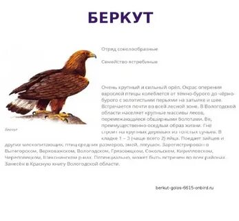Волгоградская красная книга животные
