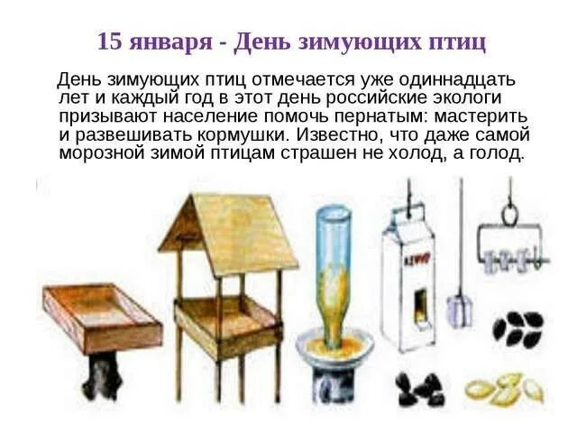 15 января день чего. 15 января день зимующих птиц россии. всероссийский день зимующих птиц. 15 января праздник день зимующих птиц. день зимующих птиц история праздника.