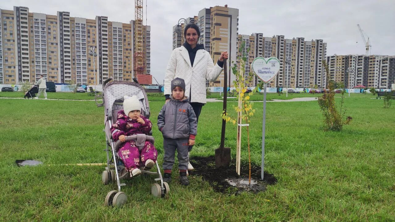 Купить парку тамбов. Олимпийский парк Тамбов. Сквер семьи. Тамбов семейный парк. Тамбов Киквидзе новый парк.