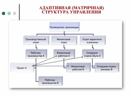 Схема менеджмента организации