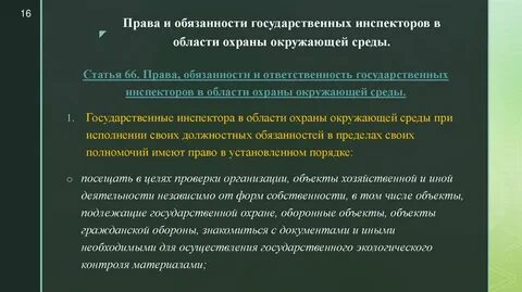 Обязанности лесной охраны