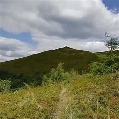 Гора острая камчатка. Гора острая лермонтов. Гора медовая железноводск. Хребет хамар дабан. Гора острая лермонтов.