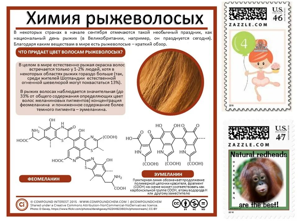 Эумеланин и феомеланин пигмент. Пигмент меланина в волосах. Типы пигментов волос. Пигмент меланина в волосах. Пигмент меланина в волосах.