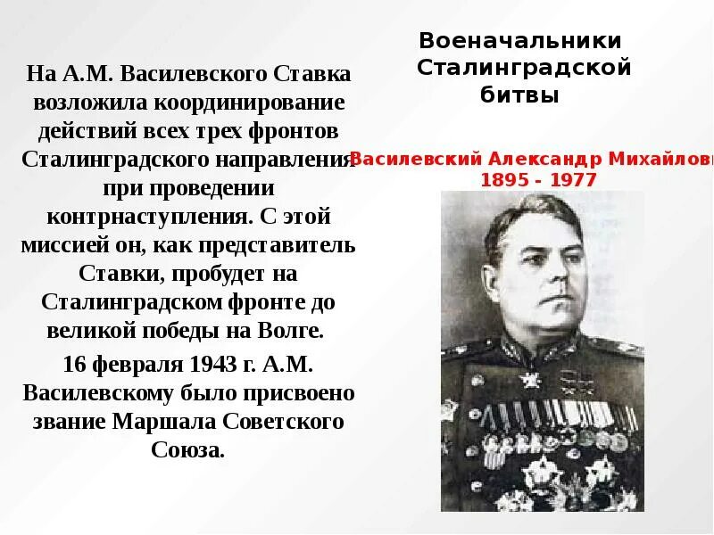 Командующий армией в сталинградской битве был. Василевский александр михайлович сталинградская битва. командующий фронтом сталинградской битвы. сталинградская битва командиры шумилова. сталинградская битва (30 декабря 1942- 2 февраля 1943).