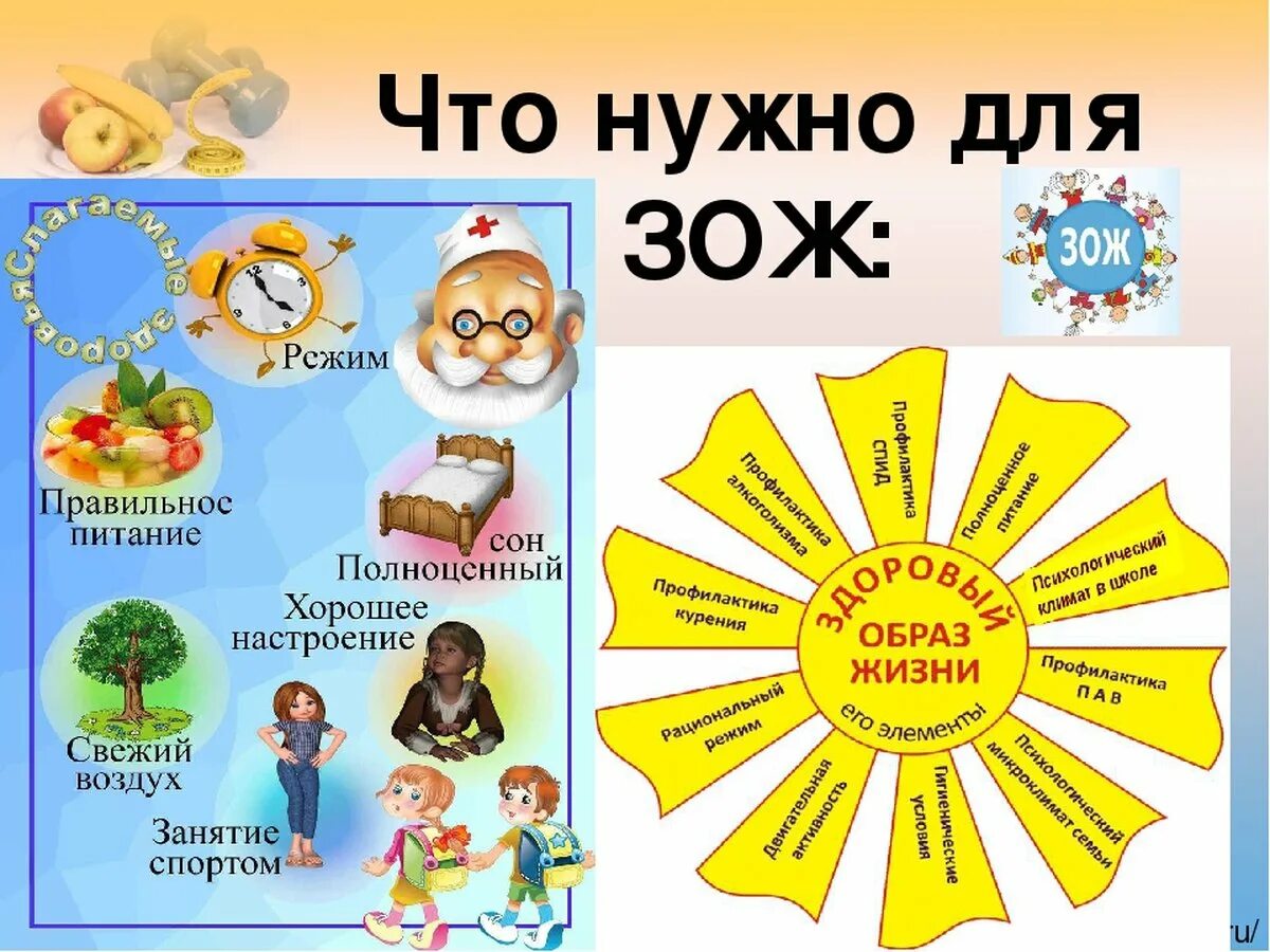Интеллектуальная игра по зож