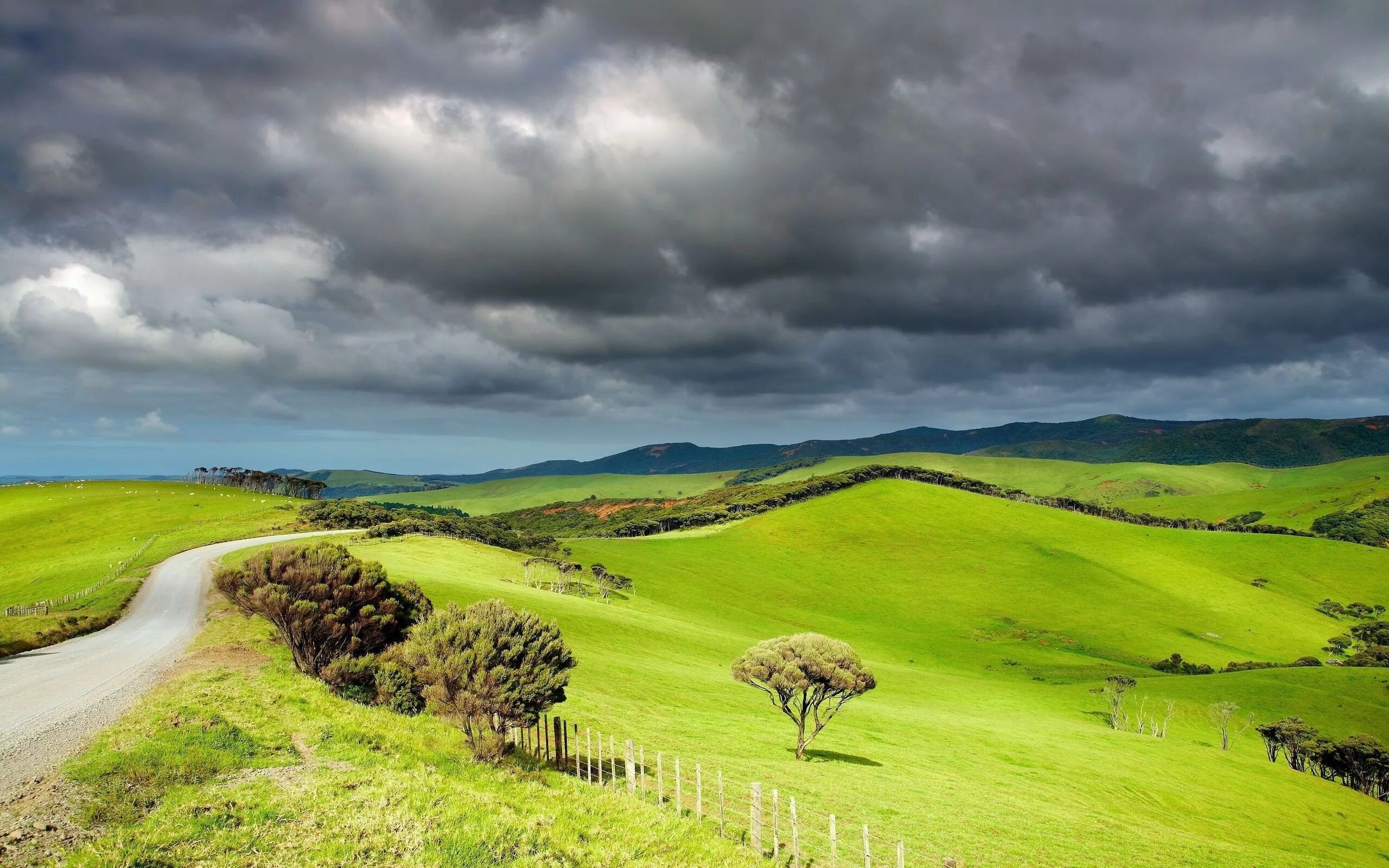 Большие холмы. Green Hills зеленые холмы Ирландии. Долины новой Зеландии. Холмы Такака, новая Зеландия. Новая Зеландия Луга.