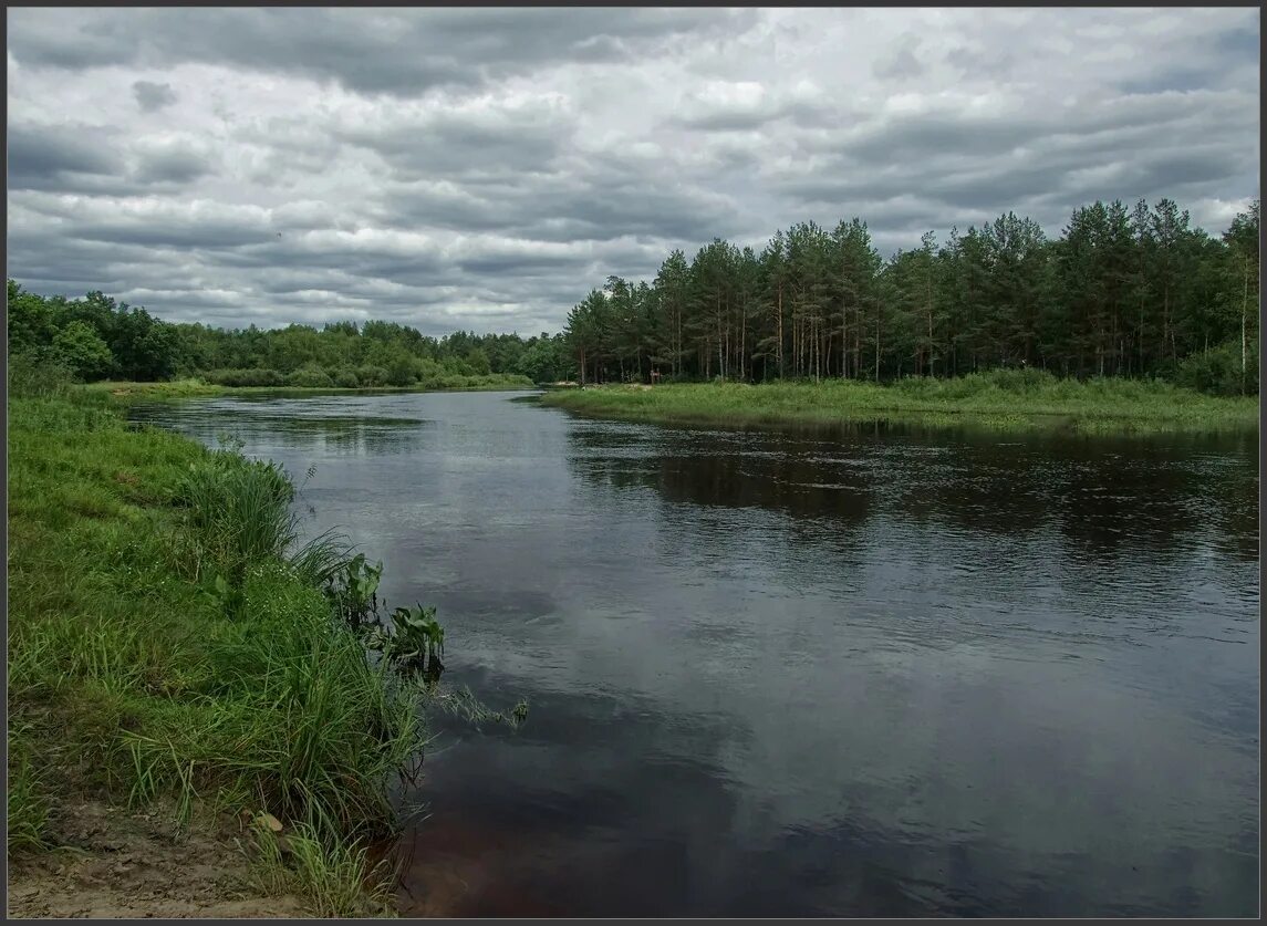 Река пасмурно. Река пра. Летняя река пасмурно. Пейзажи Рязанской области. Река пасмурная