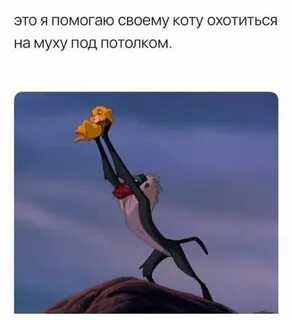Поймать быть приносить