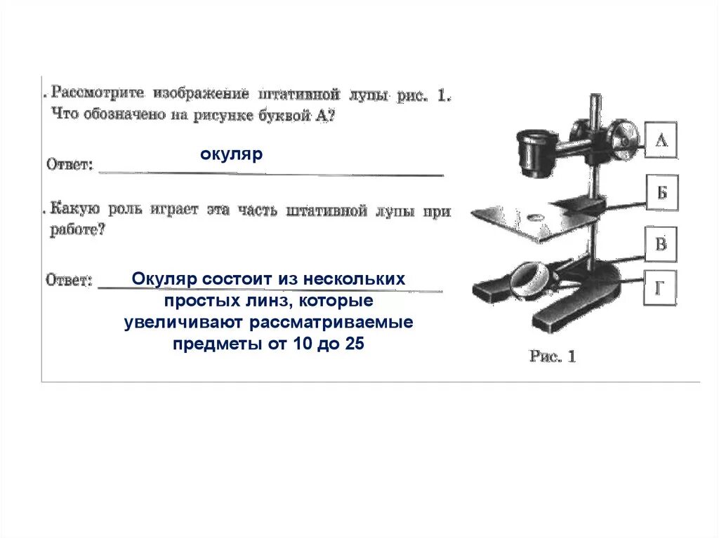 Штативная лупа части. Штативная лупа строение. Части штативной лупы с подписями. Окуляр штативной лупы.