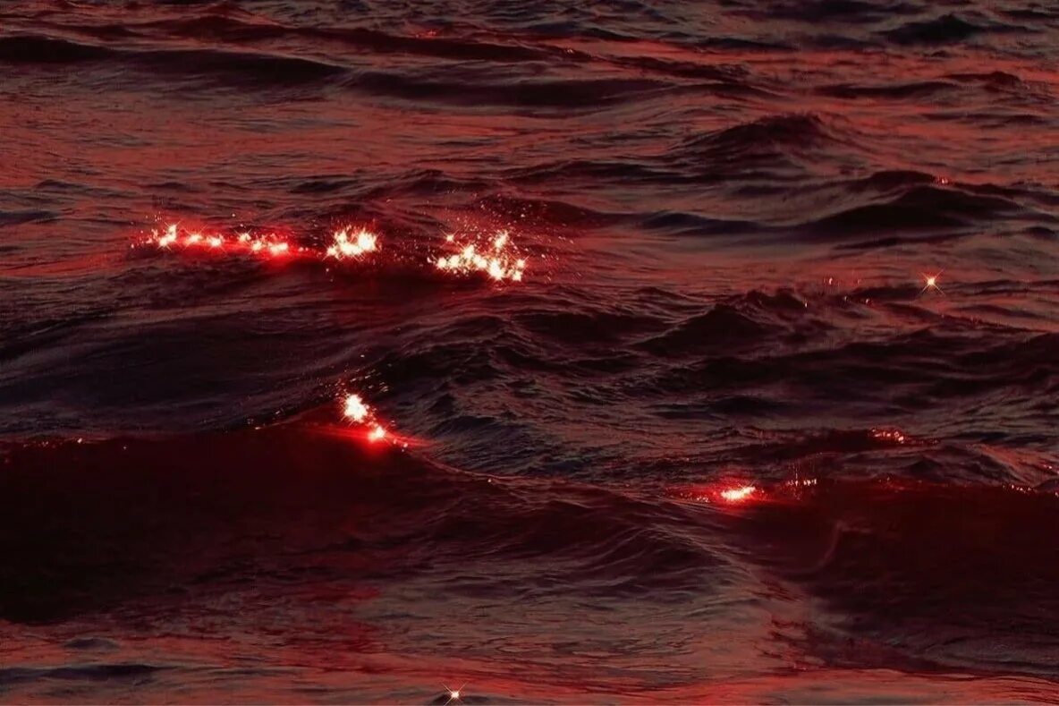 Красно жалкие. Эстетика красного. Море красного цвета. Красное море Эстетика.