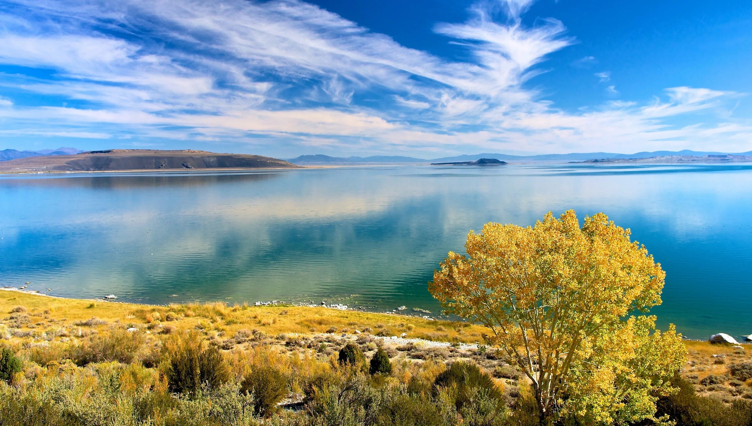 Патагония регион виноградники аргентина. Хамар дабан тайга. Галилейское озеро. Сациви по мегрельски. Чаткальский заповедник.