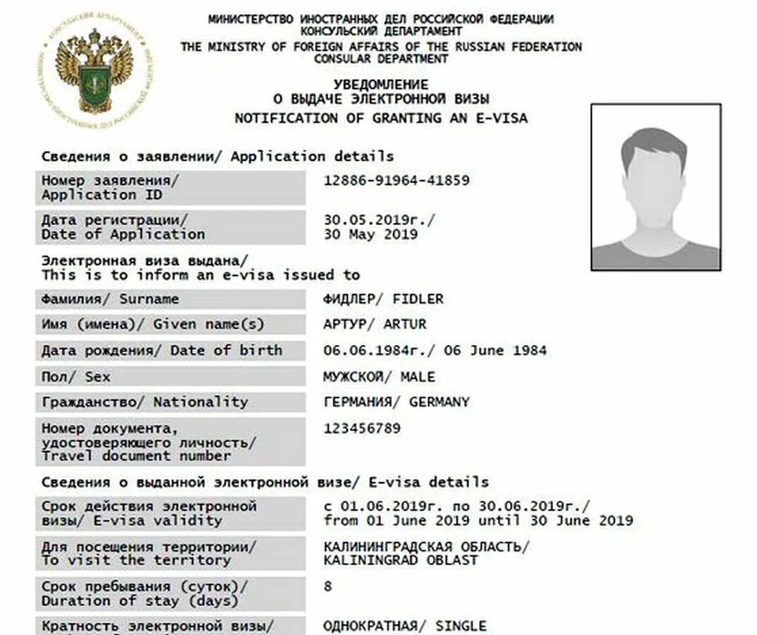 Сайт электронной визы. Электронная виза в Россию. Электронная виза e-visa.. Электронная виза в Россию для иностранцев. Образец электронной визы.