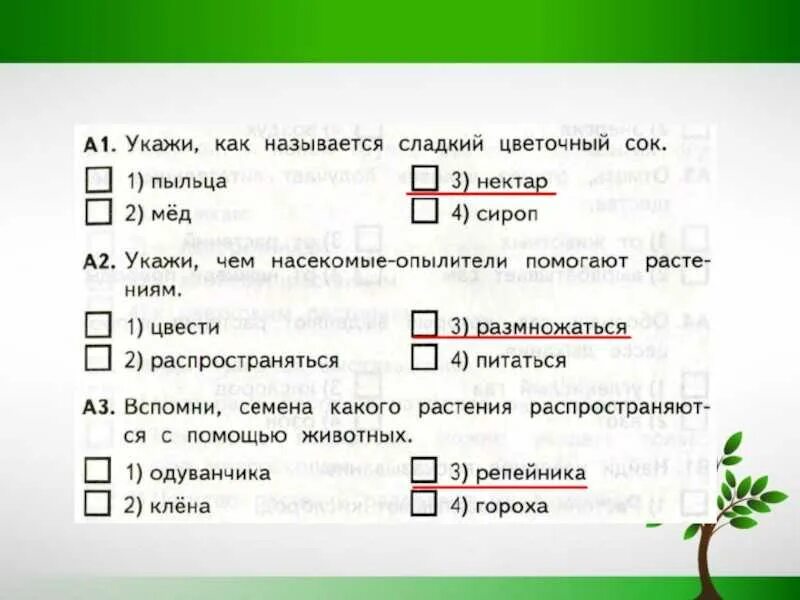 Тест по теме размножение. Размножение растений тест. размножение и развитие растений тест. развитие растений 3 класс проверочная работа. размножение растений тест 3 класс.