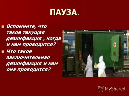 Что такое тек