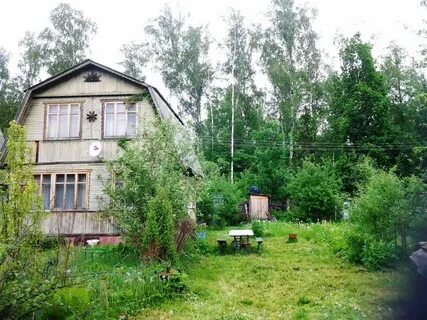 Березовая роща дачи