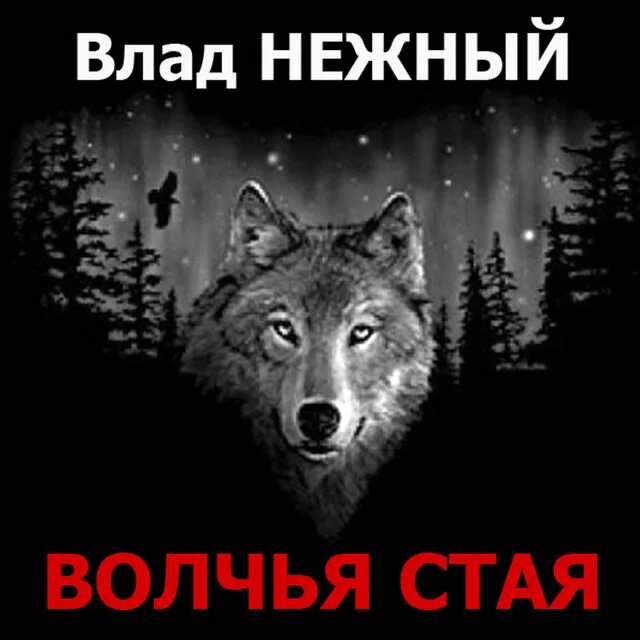 Волки с надписями. Моя стая. Мы стая слушать. Волки песня. Стиль из стаи.