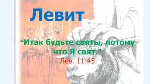 Левит это