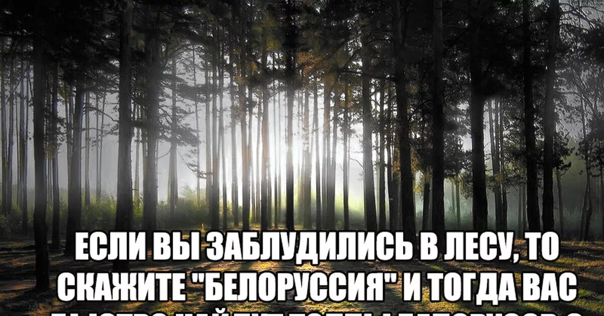 Ищи сама тогда