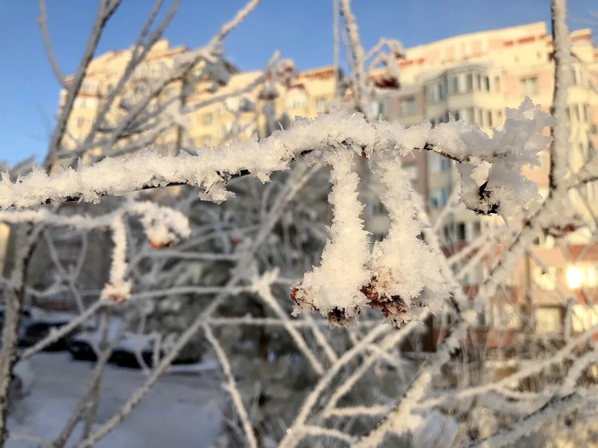Сейчас декабря