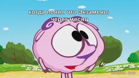 Смешарики мемы