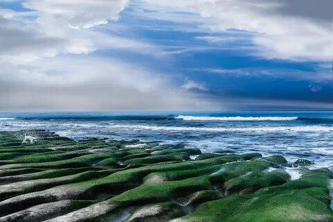 Песня зеленая море
