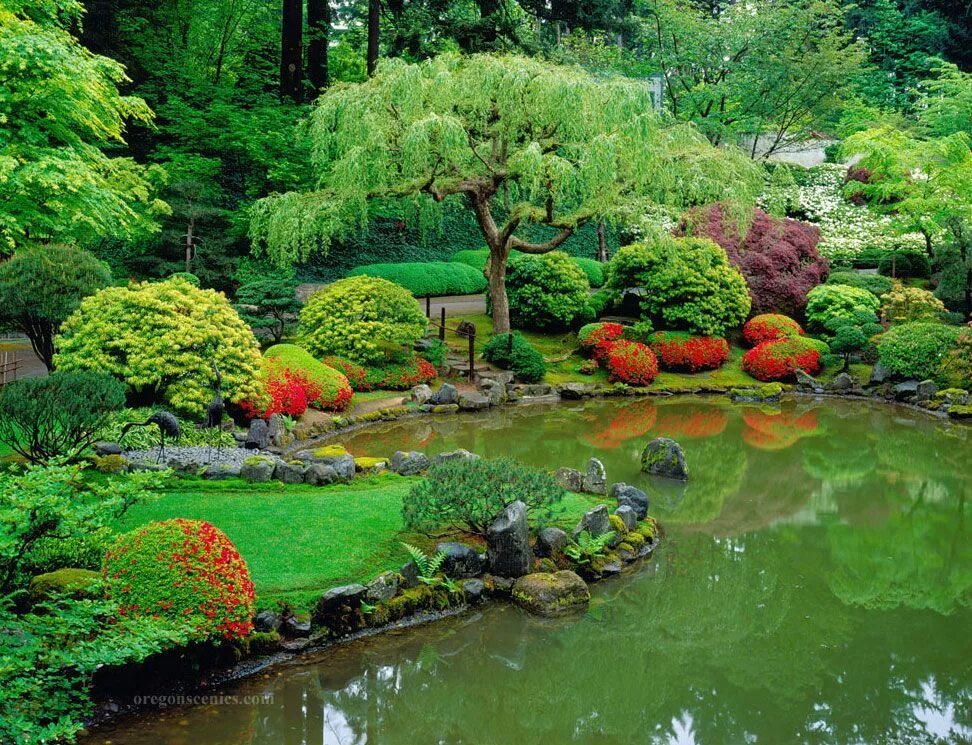 Японский пруд. Японский прудик в саду. Японский сад хиранива. Пруд в саду Япония. Японский садик с прудиком.