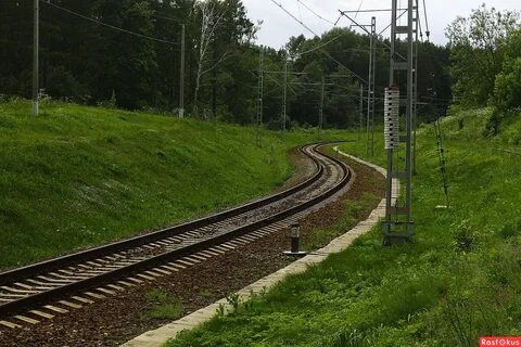 Раздоры белорусская