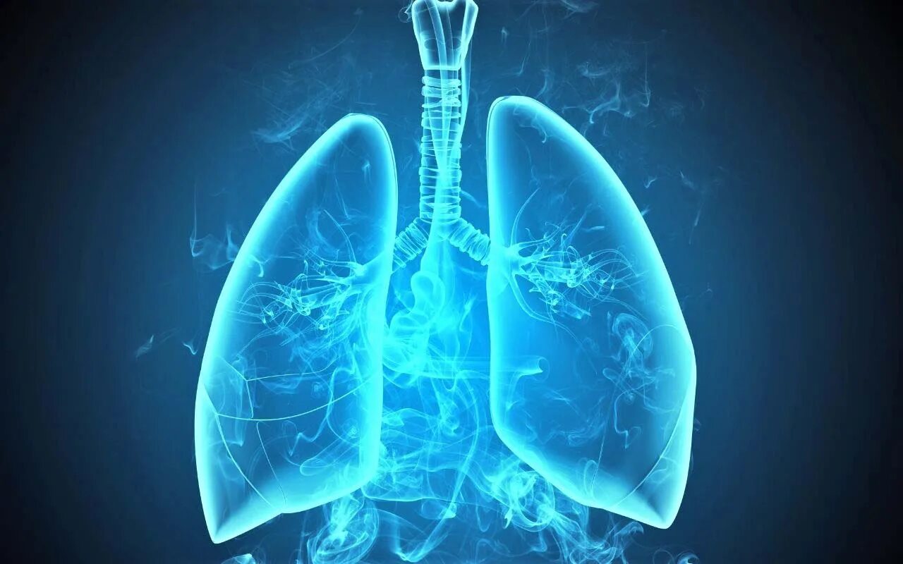 Фтизиатрия. Туберкулез органов дыхания. Фтизиатрия и пульмонология. Легкие человека с туберкулезом